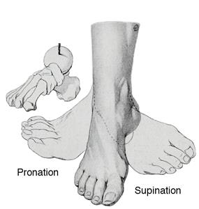 foot / square second [ft / s²]